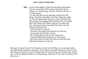 Công điện 1794/CĐ-TTg triển khai biện pháp phòng chống bão số 9 hiệu quả