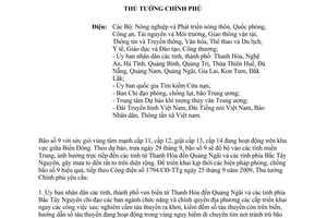 Công điện 1802/CĐ-TTg triển khai kịp thời biện pháp phòng chống bão số 9