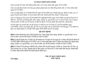 Quyết định 19/2009/QĐ-UBND chức năng nhiệm vụ quyền hạnSở Kế hoạch Đầu tư Cà Mau