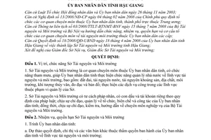 Quyết định 33/2009/QĐ-UBND chức năng, nhiệm vụ, quyền hạn cơ cấu tổ chức bộ máy Sở Tài nguyên Môi trường