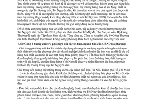 Chỉ thị 09/CT-BCT  công tác phục vụ Tết Nguyên đán Canh Dần 2010