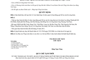 Quyết định 1333/QĐ-TLĐ năm 2009 thành lập tổ chức quản lý hoạt động Quỹ hỗ trợ