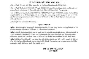 Quyết định 31/2009/QĐ-UBND chức năng nhiệm vụ quyền hạn cơ cấu Sở KH&ĐT