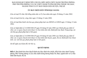 Quyết định số 40/2009/QĐ-UBND tiêu chuẩn chức danh Trưởng phòng Phó phòng Hậu Giang 2009