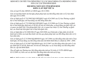 Nghị quyết 25/2009/NQ-HĐND sửa đổi chi tiêu tài chính phục vụ hoạt động HĐND Bình Định
