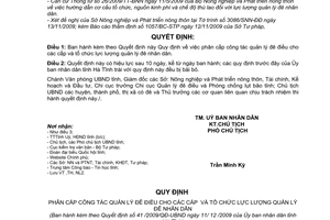 Quyết định 41/2009/QĐ-UBND  phân cấp công tác quản lý đê điều