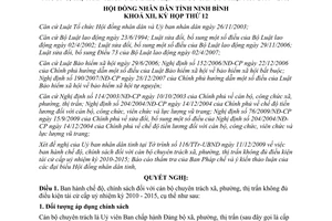 Nghị quyết 20/2009/NQ-HĐND cán bộ chuyên trách không đủ điều kiện tái cử 2010-2015 Ninh Bình