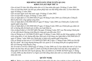Nghị quyết 29/2009/NQ-HĐND về chính sách khuyến khích phát triển tiểu thủ công nghiệp và làng nghề trên địa bàn tỉnh Tuyên Quang