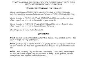 Quyết định 2687/QĐ-TCHQ năm 2009 Tiêu chuẩn chức danh lãnh đạo Tổng cục Hải quan