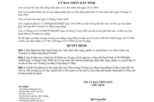 Quyết định 25/2009/QĐ-UBND nhiệm vụ quyền hạn cơ cấu tổ chức Trường Cao đẳng Cộng đồng Cà Mau