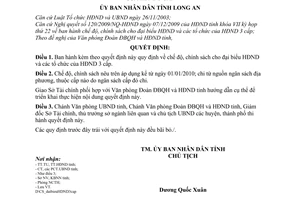 Quyết định 82/2009/QĐ-UBND Chế độ, chính sách cho đại biểu Hội đồng nhân dân