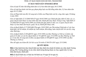 Quyết định 43/2009/QĐ-UBND tiêu chuẩn bổ nhiệm Trưởng phòng Phó phòng Hòa Bình