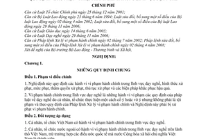 Nghị định 116/2009/NĐ-CP  xử phạt vi phạm hành chính trong lĩnh vực dạy nghề