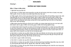 Nghị định 117/2009/NĐ-CP xử lý vi phạm pháp luật trong lĩnh vực bảo vệ môi trường