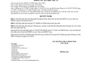 Nghị quyết 120/2009/NQ-HĐND chế độ, chính sách cho đại biểu Hội đồng nhân dân các tổ chức Hội đồng nhân dân 3 cấp