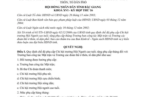 Nghị quyết 21/2009/NQ-HĐND chế độ phụ cấp Chi hội trưởng Hội Người cao tuổi