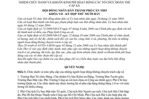 Nghị quyết 20/2009/NQ-HĐND chức danh, mức phụ cấp những người hoạt động không chuyên trách ở xã, phường, thị trấn, ấp, khu vực