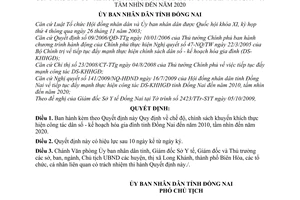 Quyết định 83/2009/QĐ-UBND chế độ, chính sách khuyến khích thực hiện công tác dân số - kế hoạch hóa gia đình tỉnh Đồng Nai