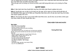 Quyết định 02/2010/QĐ-KTNN  Quy trình kiểm toán Doanh nghiệp nhà nước