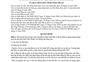Quyết định 04/2010/QĐ-UBND tiêu chí lựa chọn nhà đầu tư thực hiện đầu tư dự án điện sử dụng năng lượng gió trên địa bàn tỉnh Ninh Thuận