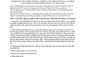Thông tư liên tịch 04/2010/TTLT-BTC-BCA-BQP hướng dẫn thực hiện chế độ lao động  sử dụng kết quả lao động, dạy nghề phạm nhân trong các trại giam
