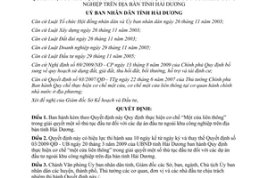 Quyết định 02/2010/QĐ-UBND cơ chế Một cửa liên thông thủ tục đầu tư