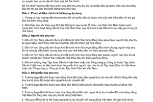 Thông tư 22/2010/TT-BTC hướng dẫn Nghị định 100/2009/NĐ-CP quy định thu phụ thu phần dầu lãi được chia nhà thầu dầu khí