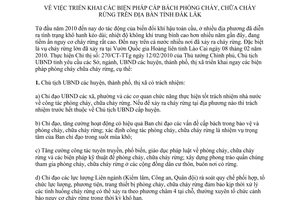 Chỉ thị 03/2010/CT-UBND triển khai biện pháp cấp bách phòng cháy chữa cháy rừng Đắk Lắk