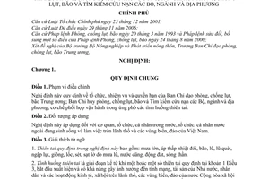 Nghị định 14/2010/NĐ-CP  tổ chức, nhiệm vụ quyền hạn Ban Chỉ đạo phòng, chống lụt, bão Trung ương