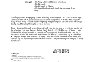 Công văn 291/TTg-KTN chính sách hỗ trợ phòng, trừ bệnh vàng lùn, lùn xoắn lá bệnh lùn sọc đen hại lúa