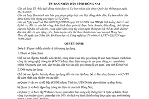 Quyết định 10/2010/QĐ-UBND chế độ trợ cấp thu hút cán bộ, công chức làm công tác công nghệ thông tin tỉnh Đồng Nai