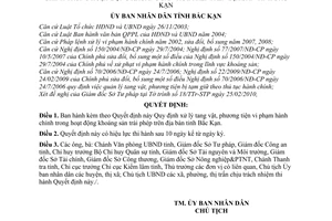 Quyết định 371/2010/QĐ-UBND xử lý tang vật, phương tiện vi phạm hành chính