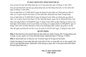 Quyết định 203/2010/QĐ-UBND tiêu chuẩn Trưởng Phó phòng sở ban ngành Ninh Thuận