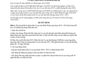Quyết định 500/QĐ-UBND năm 2010 phát triển Ca cao Bình Phước 2010 2015