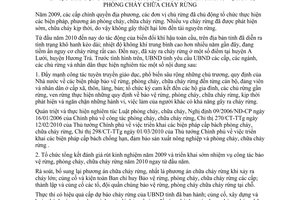 Chỉ thị 06/CT-UBND 2010 bảo vệ rừng phòng cháy chữa cháy rừng Thừa Thiên Huế