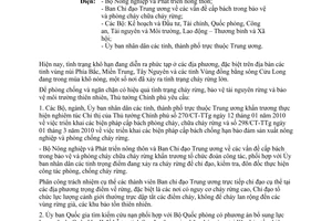 Công điện 396/CĐ-TTg  phòng chống ngăn chặn có hiệu quả tình trạng cháy rừng, bảo vệ tài nguyên rừng