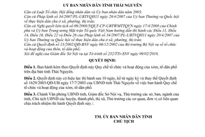 Quyết định 08/2010/QĐ-UBND Quy chế tổ chức hoạt động xóm, tổ dân phố