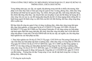 Chỉ thị 07/CT-UBND năm 2010 tăng cường biện pháp bảo vệ rừng phòng cháy chữa cháy rừng Quảng Nam