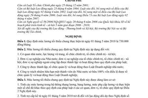 Nghị định 28/2010/NĐ-CP mức lương tối thiểu chung