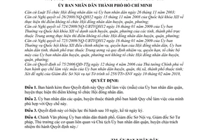 Quyết định 19/2010/QĐ-UBND Quy chế làm việc (mẫu) Ủy ban nhân dân quận, huyện thực hiện thí điểm không tổ chức Hội đồng nhân dân