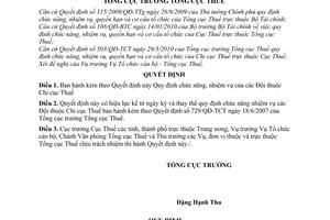 Quyết định 504/QĐ-TCT chức năng nhiệm vụ Đội Chi cục Thuế