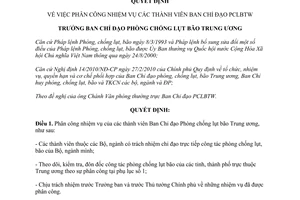 Quyết định 54/QĐ-PCLBTW năm 2010 phân công nhiệm vụ  thành viên Ban Chỉ đạo Phòn