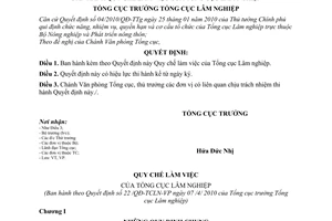 Quyết định 22/QĐ-TCLN-VP Quy chế làm việcTổng cục Lâm nghiệp