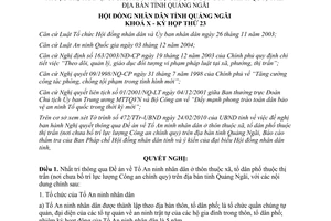 Nghị quyết 02/2010/NQ-HĐND thông qua Đề án về Tổ An ninh nhân dân ở thôn thuộc x