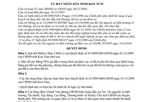 Quyết định 13/2010/QĐ-UBND sửa đổi Quyết định 63/2009/QĐ-UBND