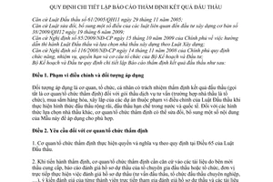 Thông tư 08/2010/TT-BKH chi tiết lập báo cáo thẩm định kết quả đấu thầu