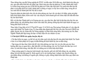 Chỉ thị 09/CT-UBND công tác chỉ đạo phòng chống dịch bệnh tai xanh ở lợn