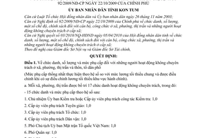 Quyết định 20/2010/QĐ-UBND chức danh, số lượng chính sách