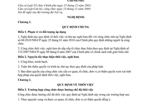 Nghị định 46/2010/NĐ-CP  thôi việc thủ tục nghỉ hưu công chức