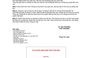 Thông tư 14/2010/TT-BGDĐ Danh mục giáo dục, đào tạo cấp IV